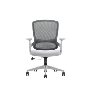 人體工程學行政老闆辦公椅AS-6246B